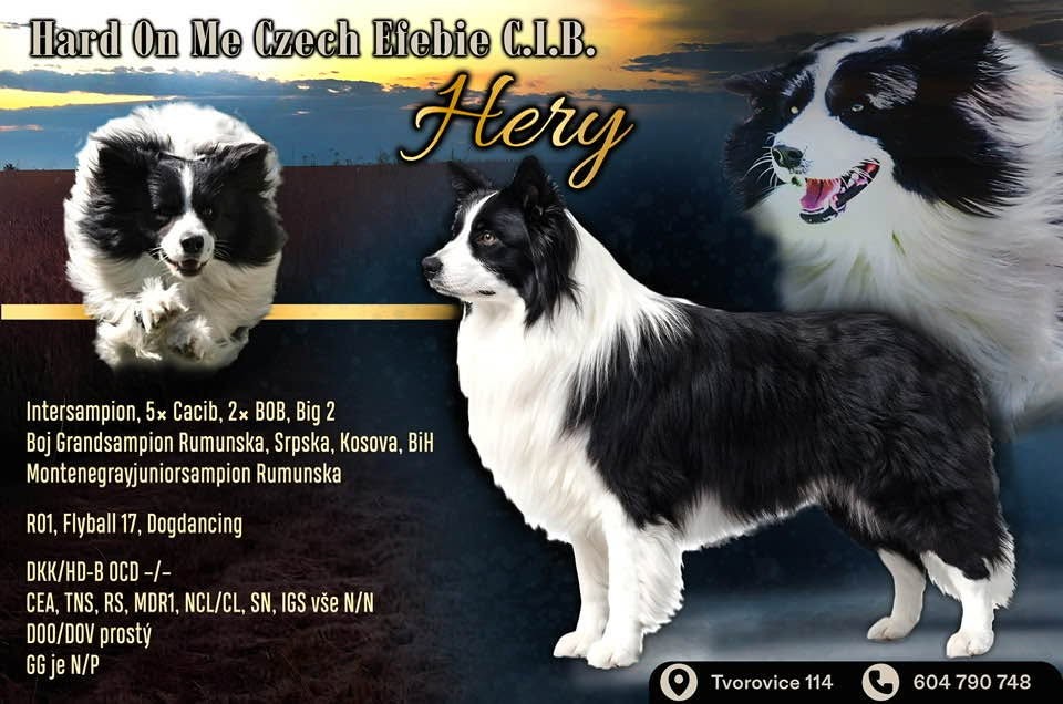 hery.jpg